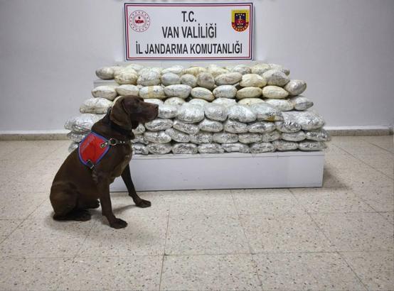 Van'da arazide 60 kilo skunk ele geçirildi