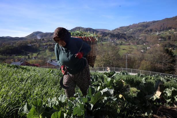 Karadeniz kadınının yayladan stadyuma uzanan Trabzonspor tutkusu / Ek fotoğraflar