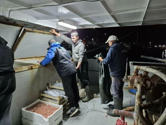 Çanakkale’de yasa dışı avlanan 525 kilo balığa el konuldu