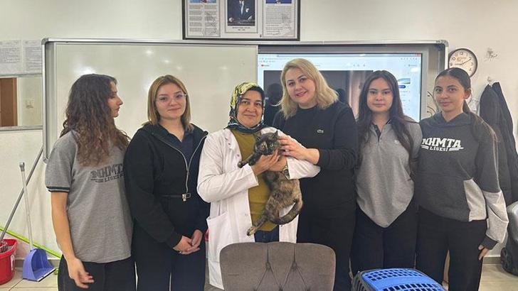 Okul bahçesinde bulunan kalçası kırık kedi, tedavi edildi