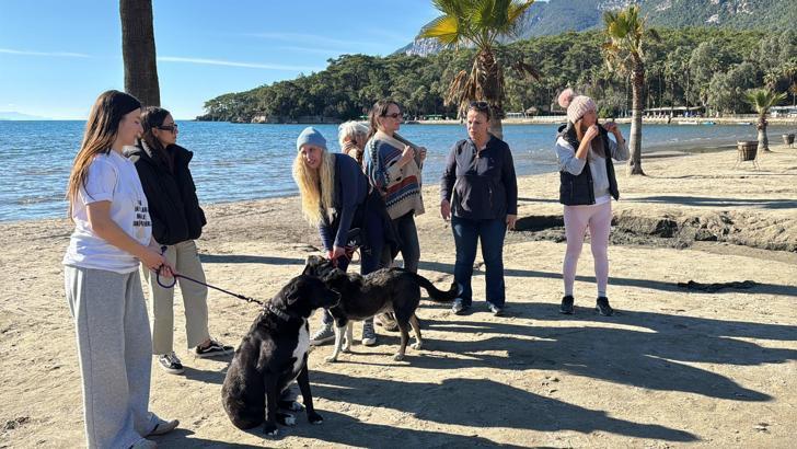 Hayvanseverlerden 'can dostları sahiplendirmek için' seferberlik