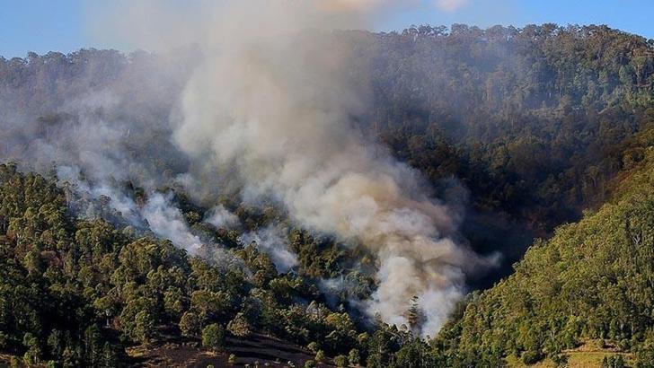 Avustralya'da 50'den fazla orman yangını çıktı