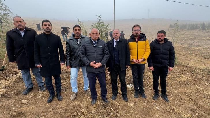 Büyükşehir Belediyesi, Yahyalı ilçesine bin 200 fidan dikti