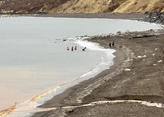 Yüksek kesimlerine kar yağan Bitlis'te, göle girip yüzdüler