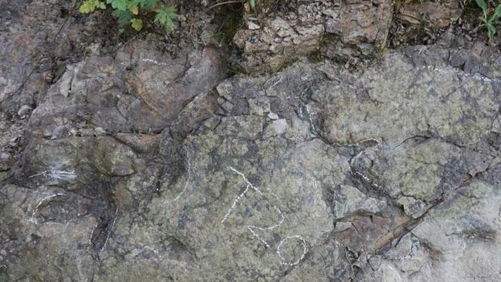 Çin’de yaklaşık 200 milyon yıl öncesine ait dinozor ayak izleri bulundu