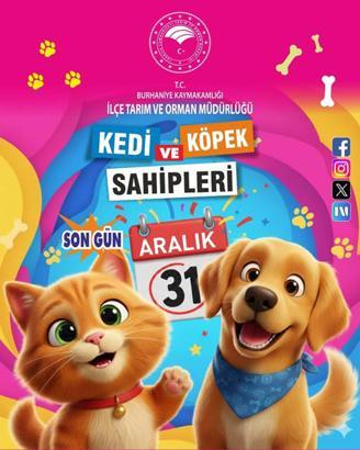 Burhaniye'de kedi ve köpekler için mikroçip uyarısı
