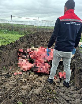 Tekirdağ'da menşei belli olmayan 1 ton hayvansal ürün imha edildi