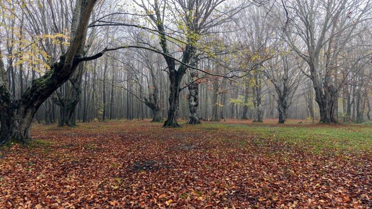 Istranca Dağları etekleri, doğa fotoğrafçıları ve kamp tutkunlarının gözdesi oldu / Ek fotoğraflar