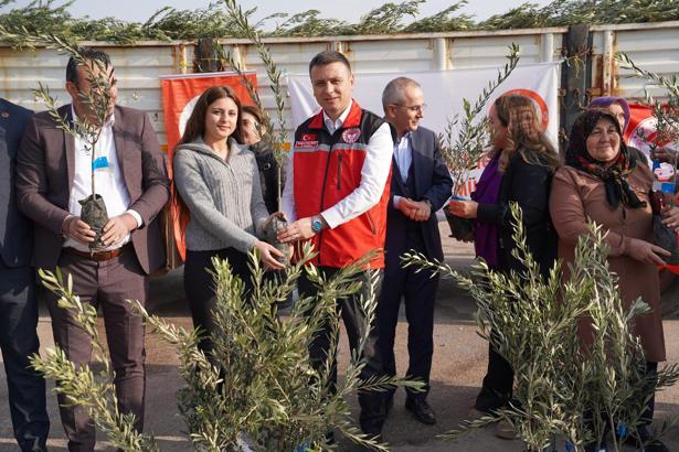 Osmaniye’de çiftçilere 61 bin 106 adet sertifikalı zeytin fidanı dağıtıldı