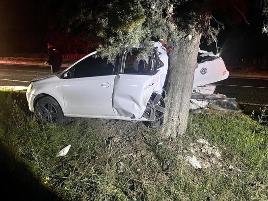 Tekirdağ’da kontrolden çıkan otomobil ağaca çarptı; 1 yaralı