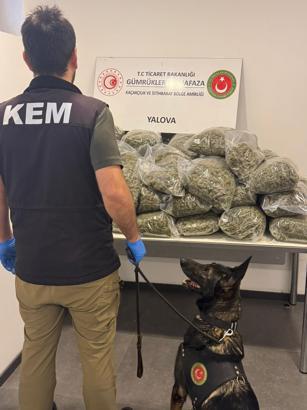 Limandaki TIR'da 23 milyon lira değerinde 37,7 kilo uyuşturucu ele geçirildi; 5 gözaltı