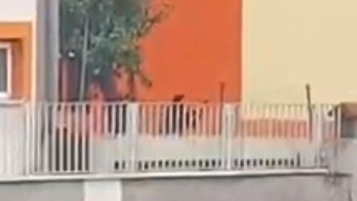 Eski sevgilisiyle konuşmak için geldiği okul önünde intihara kalkıştı