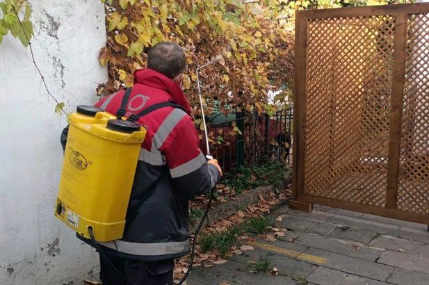 Ordu’da haşerelere karşı kışlak çalışması