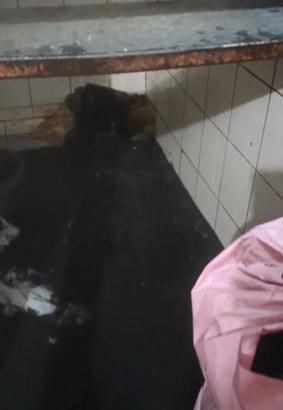 İstanbul - Sultangazi'de iş yeri ve evleri atık su bastı