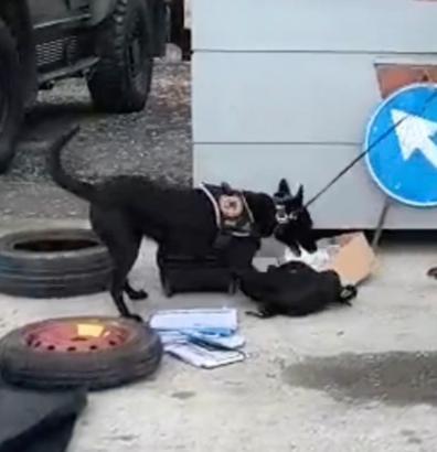 Erzincan'da 1 kilo kokain ele geçirildi