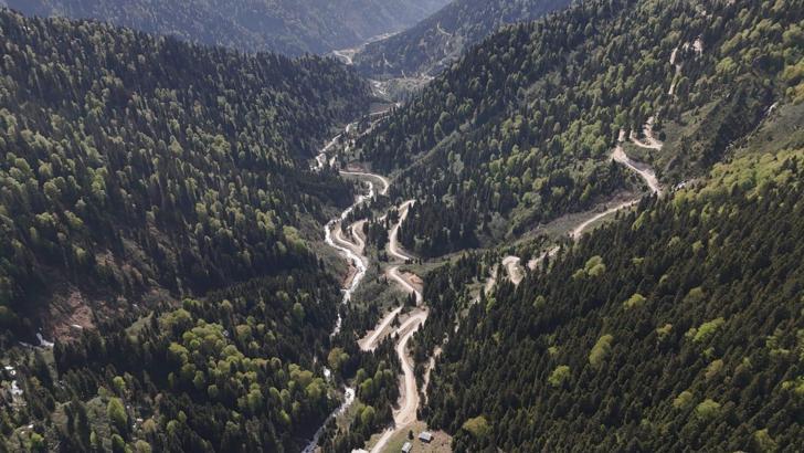 Karadeniz'de yağış değişimi alarmı; orman varlığı gençleştiriliyor