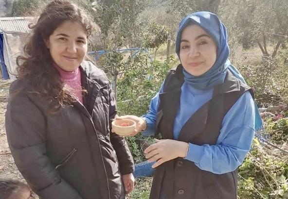 Osmaniye’de safran yetiştiriciliğinden olumsu sonuçlar alınmaya başlandı