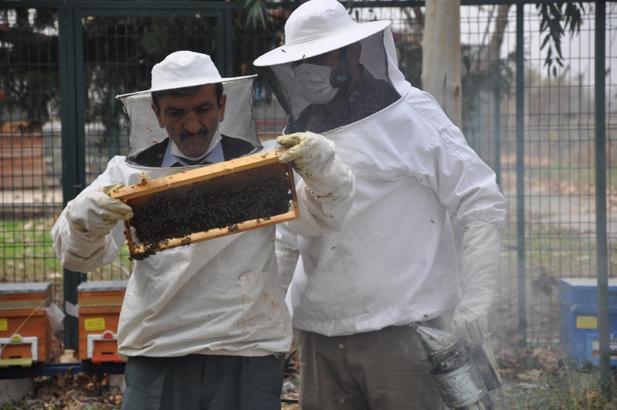 'İyi bal donar, mutlaka sıvı olması gerekmiyor'
