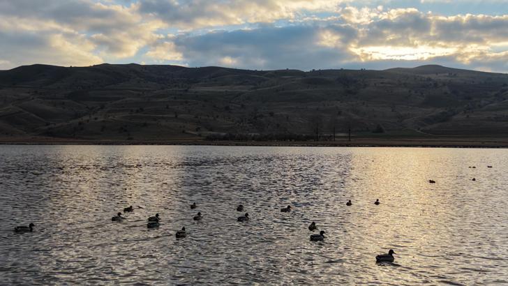 Kuruyunca kuşların da terk ettiği göl, yağışlarla yeniden 'hayat' buldu