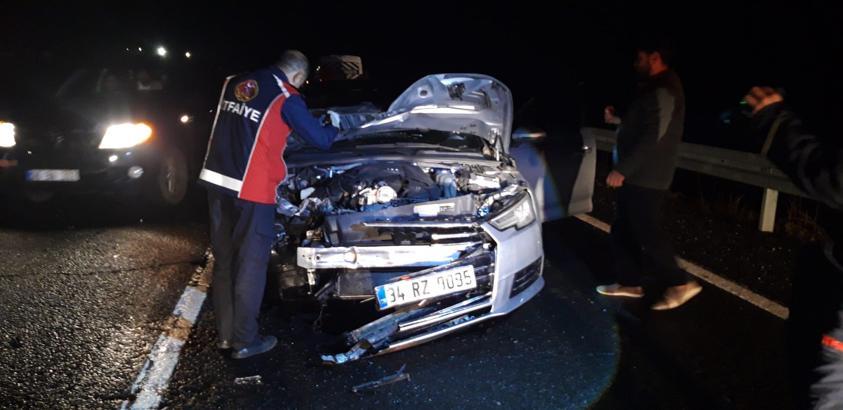 Mardin'de otomobilin çarptığı at öldü