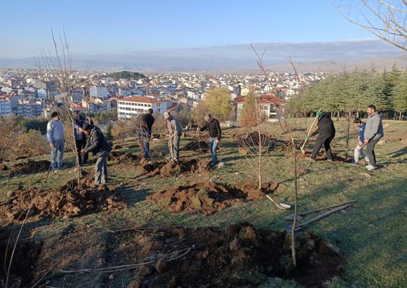 Dernek üyeleri fidan dikti