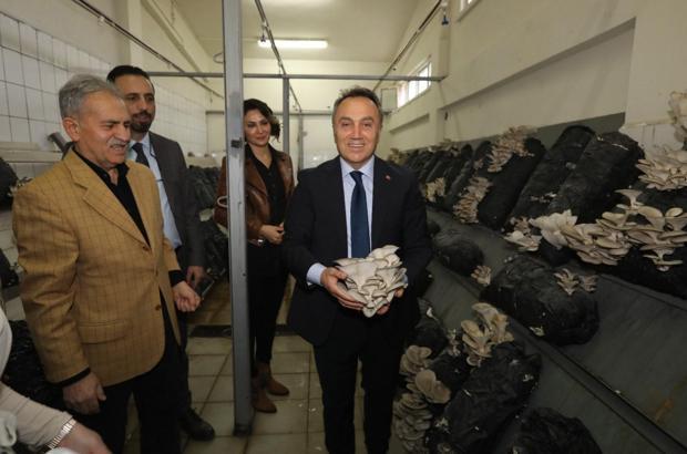 Rektör Yılmaz’dan mantar üretim tesisine inceleme ziyareti