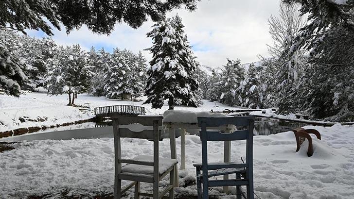 Gümüşhane'de Kent Ormanı, kar yağışıyla beyaza büründü