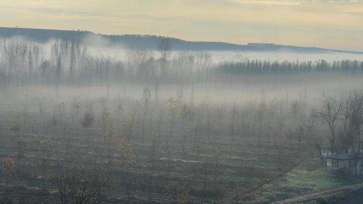 Dicle Vadisi'nde sis manzarası