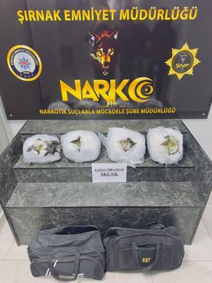 Şırnak'ta 6 kilo skunk ele geçirildi: 2 gözaltı