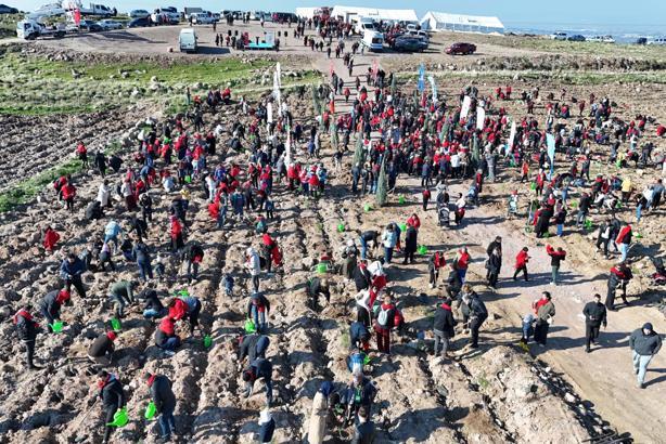 Menemen Belediyesi'nden fidan dikme etkinliği