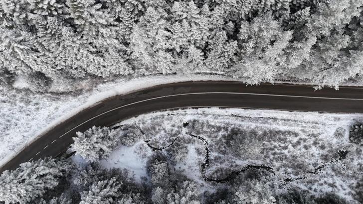 Bolu ormanlarında kar manzarası
