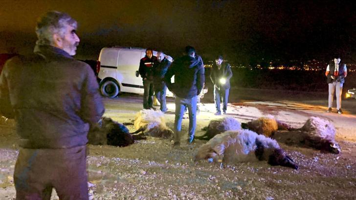 Hafif ticari araç, sürüye çarptı; sürücü yaralı, 12 koyun öldü