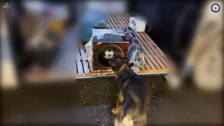 Batman’da hoparlöre zulalanmış 3 kilo metamfetamin ele geçirildi