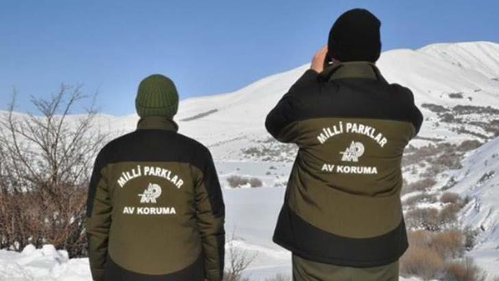 Yaban keçisi vuran avcıya 956 bin TL ceza