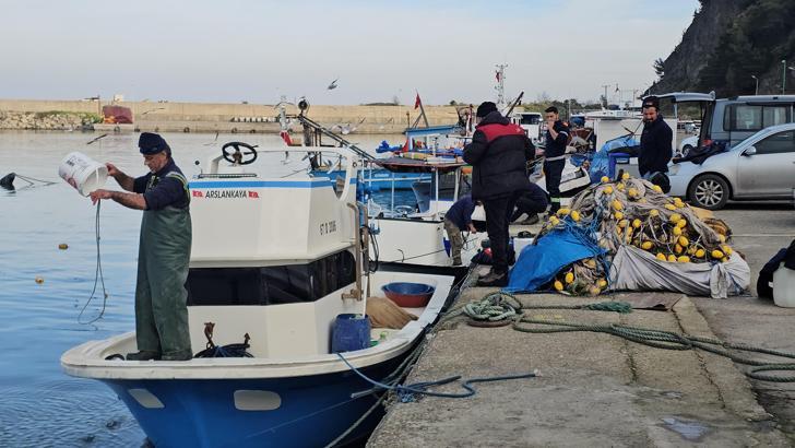 Balıkçılar, Karadeniz'de umduklarını bulamadı; hamsi dışında çeşit yok