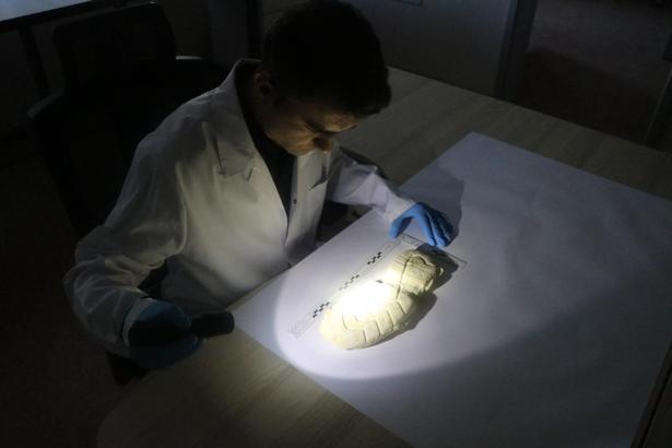 ‘Masumane şekilde kargo teslimi için atılan imza, aslında boş bir senede atılmış olabilir’/Ek fotoğraflar