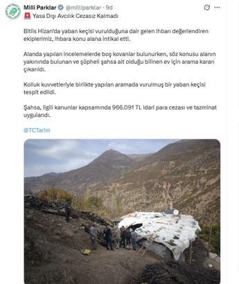 Yaban keçisi vuran avcıya 996 bin TL ceza