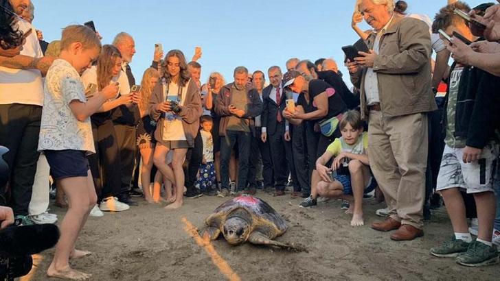 Caretta caretta 'Cumhuriyet'i 9 bin kişi izledi