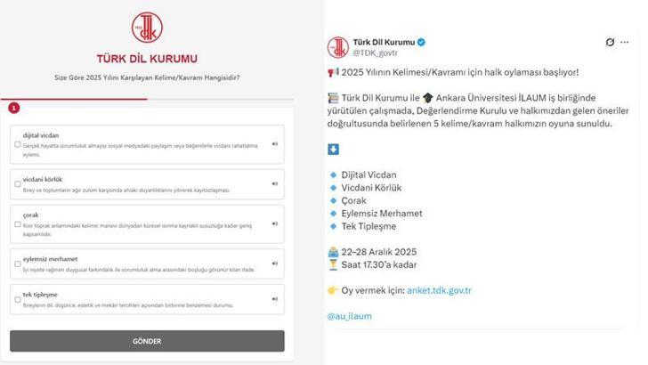 'Yılın kelimesi' önerileri halk oylamasına açıldı