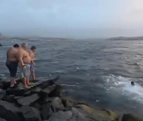 İstanbul - Fatih'te soğuk havaya aldırış etmeden denizde yüzdüler