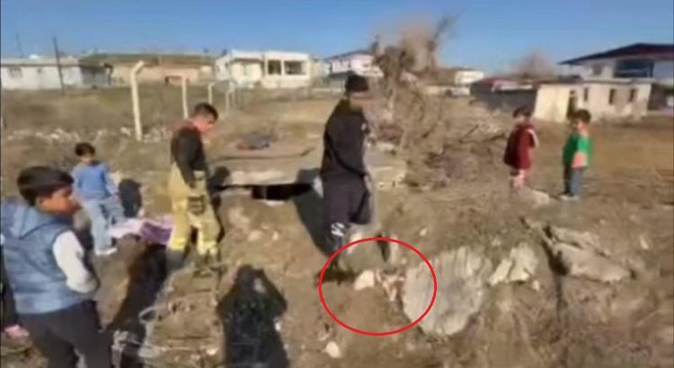 Diyarbakır’da kuyuya düşen yavru köpekleri itfaiye kurtardı