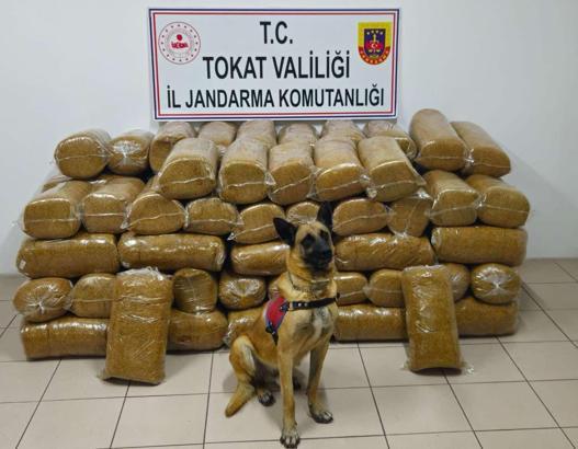 Tokat'ta yol kontrolünde 485 kilogram kaçak tütün ele geçirildi