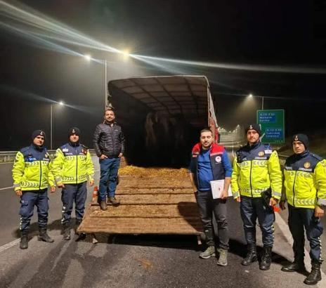 Tekirdağ'da belgesiz hayvan sevkine 134 bin lira ceza