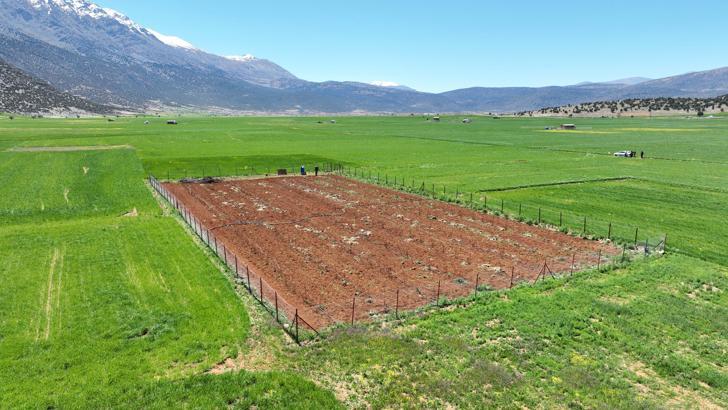 Büyükşehir'den tarımsal sulamaya büyük destek