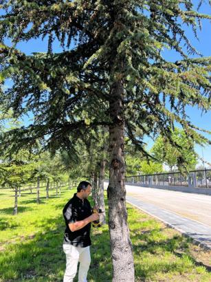 Büyükşehir Belediyesi’nden yeşil alanlarda bitki hastalıklarına karşı mücadele