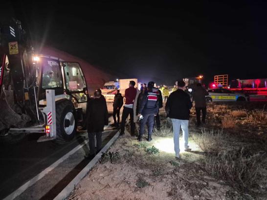Malatya'da milyonluk yarış tayları çiftlikten kaçtı; 8'i öldü, bazıları kayıp