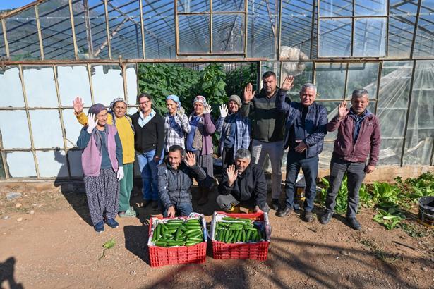 Mersin'de üreticiye fide dağıtıldı
