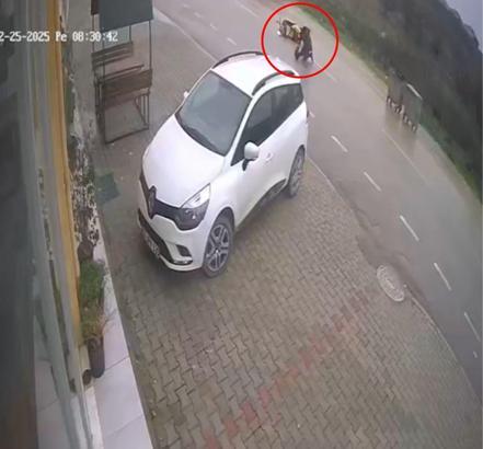 Motokurye, kendisine saldıran sokak köpeğinden kaçarken kaza yaptı