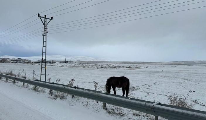 Ağrı'da kar yağışı