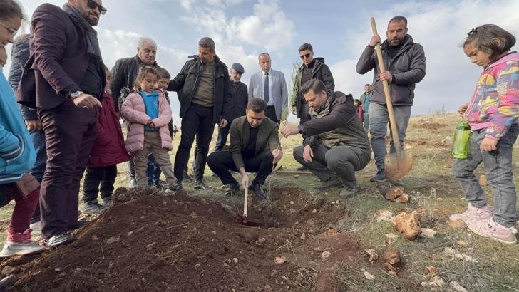 Midyat’ta, etkinlikte 500 fidan dikildi